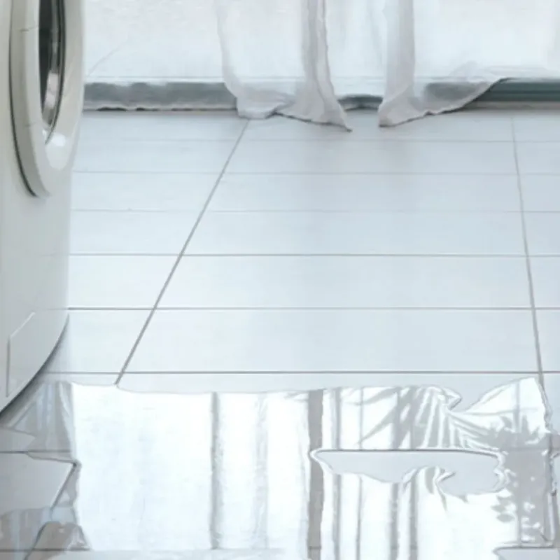 Appliance Leak Cleanup in Hudson Bend, TX