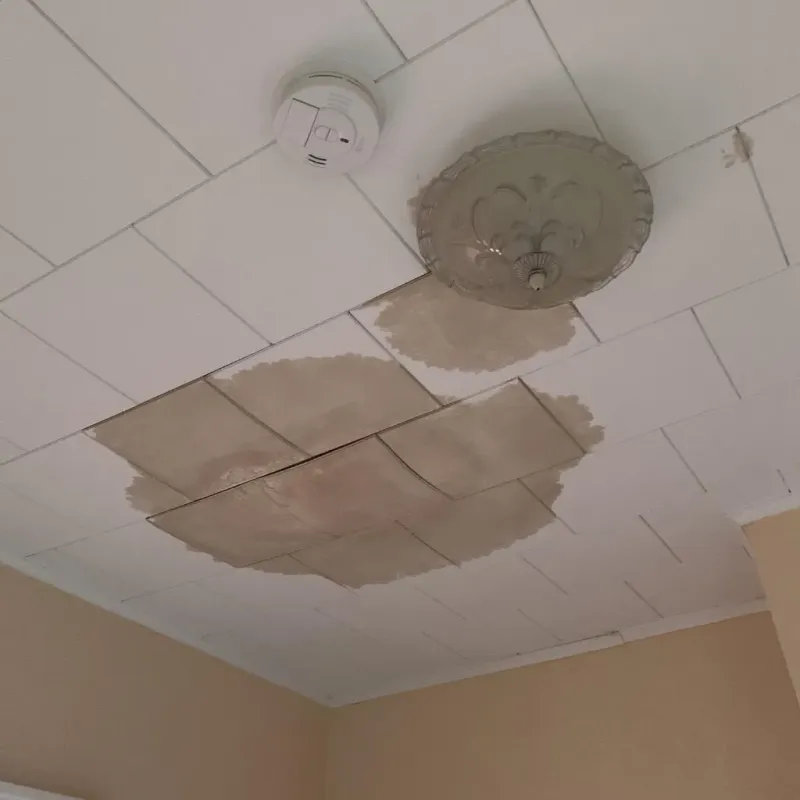 Ceiling Water Damage Repair in Hudson Bend, TX