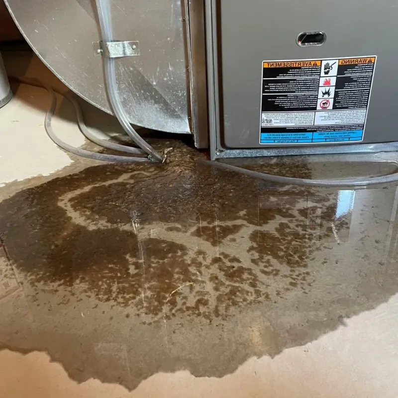 Pipe Burst and Leak Restoration in Hudson Bend, TX