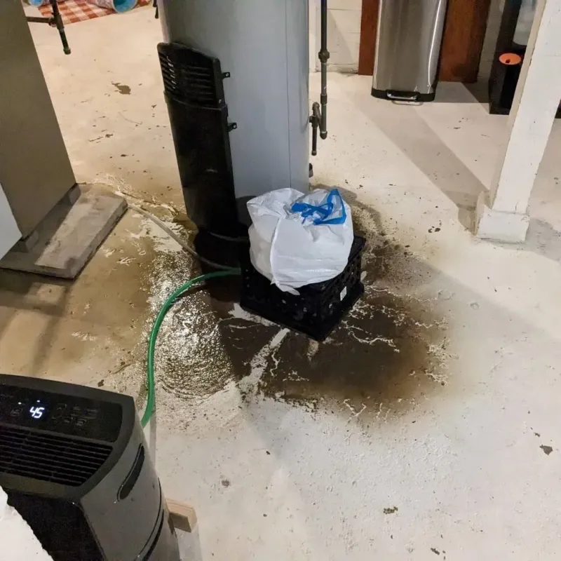 Sewage Backup Cleanup Service in Hudson Bend, TX